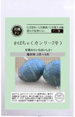 かぼちゃカンリー2号の有機種子の販売 ｜ グリーンマーケット