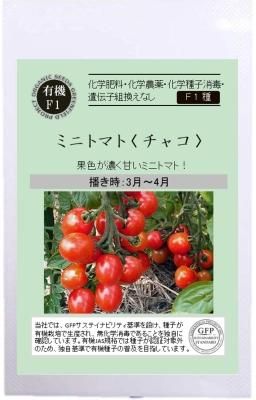 ミニトマト チャコの有機種子の通販 グリーンマーケット ミニトマト チャコの有機種子の通販 グリーンマーケット