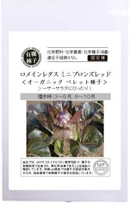 ロメインレタスの固定種の通販 グリーンマーケット ロメインレタスの固定種の通販 グリーンマーケット