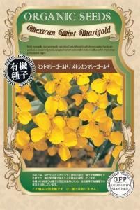 ߥȥޥ꡼  ᥭޥ꡼  Ѳ ͭҡۤξʲ