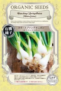 ͥ ץ󥰥˥ ۥ磻ȥꥹܥͭҡۤξʲ