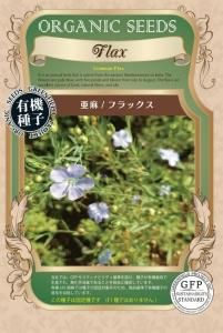 珍品・レア）メロカクタス【恒星雲（こうせいうん）】（実生子株からの