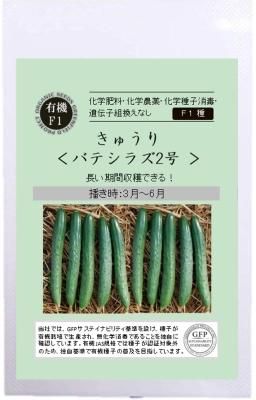 きゅうり キュウリ バテシラズ2号の固定種の販売｜グリーンマーケット