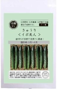 鮮緑キュウリ ORGANIC SEEDS 有機種子 固定種 | 橋本種苗園