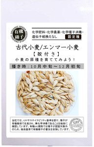 古代小麦 エンマー小麦 殻付き【有機種子/固定種】の商品画像