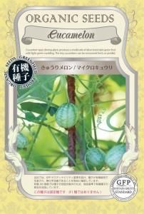 鮮緑キュウリ ORGANIC SEEDS 有機種子 固定種 | 橋本種苗園