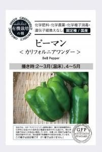 ԡޥ ե˥ ڼˡμ񻺡ۤξʲ