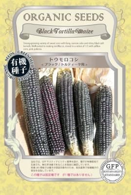 とうもろこし トウモロコシ ブラック トルティーヤ用の固定種の通販