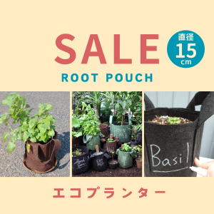 ڥľ 15cm (3.8L) ڤץ󥿡 Root Pouch / 롼ĥݡ / ꤢ /10ĥå ٤륫顼 ξʲ