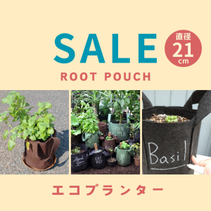ڥ ľ 21cm (8L) ڤץ󥿡 Root Pouch / 롼ĥݡ / ꤢ / 10ĥå ٤륫顼 ξʲ