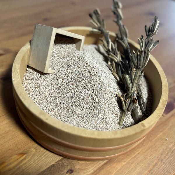 ごま 胡麻 白ごまの有機種子の販売｜グリーンマーケット