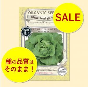 ハクサイ 種 【 春白菜ゆめぶき502 】 実咲小袋 ( ハクサイの種