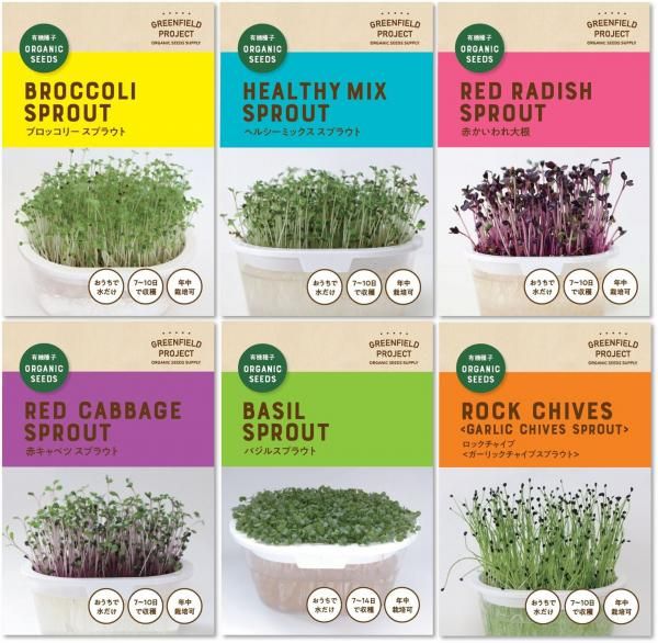 専用　買えません　穀類の種 11534 1000個 4袋セット チェーンポット 土詰・播種4点セット CP300M-1-A (大) (CP303