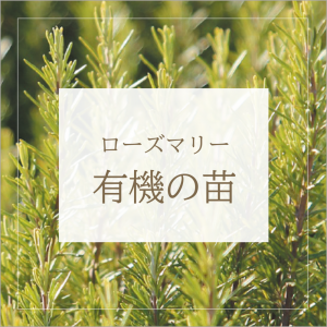 <img class='new_mark_img1' src='https://img.shop-pro.jp/img/new/icons1.gif' style='border:none;display:inline;margin:0px;padding:0px;width:auto;' />2025ǯͭġۥޥ꡼ 4ĥåȡڰϰ ͽ ڽ缡ȯۤξʲ