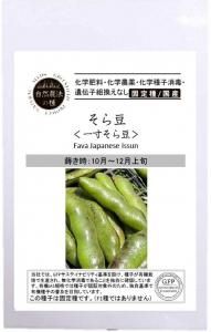 そら豆 一寸そら豆 【自然農法の種・固定種・国産】の商品画像