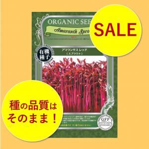 ꡪۥޥ󥵥 ץ饦ȡ5ޥåȡˡͭҡ
ξʲ