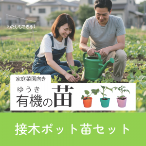 ��2026ǯ��ͽ���ͭ�����ڥݥå��� 24�ܥ��åȡ�A���åȡˤξ��ʲ���