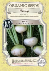 򥫥  եåȾ֡ͭҡ۶̳Lξʲ