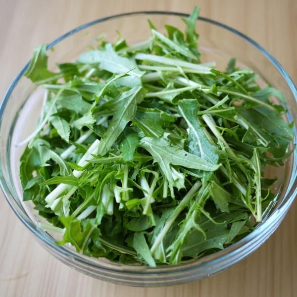 水菜 みずなの有機種子の有機種子の販売｜グリーンマーケット