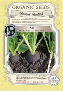  纬 ֥åѥ˥å饦ɡͭҡ۶̳Lξʲ