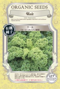 ケール[緑葉](小袋:0.50g)【有機種子・固定種】(大袋サイズも有ります)