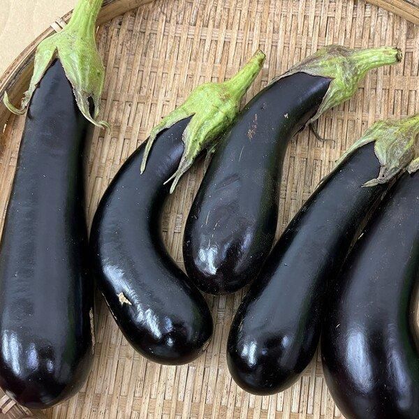 82076483_o2.jpg?cmsp_timestamp