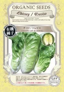  ȥӥ 饤ȥ꡼ܡ ʥͭҡF1۶̳ޤξʲ