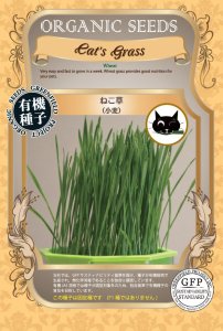 ねこ草 小麦(サイズ：S/M)【有機種子・固定種】の商品画像