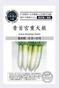 だいこん 青首宮重大根【有機種子・固定種・国産】の商品画像