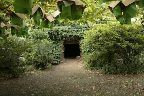 写真家西村勇人の作品販売、紹介。科学の現場を捉えた数々の実験