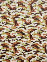 camouflage painting �