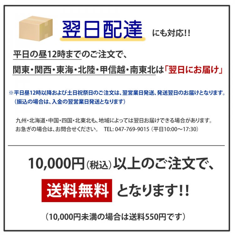 ジュニア用] ELT キュロットFSJ2 尻革 競技用 子供用 ズボン