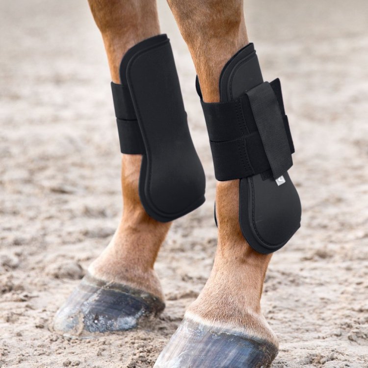 乗馬用品　新品未使用Horze プロテクター 　cob 前肢後肢セット