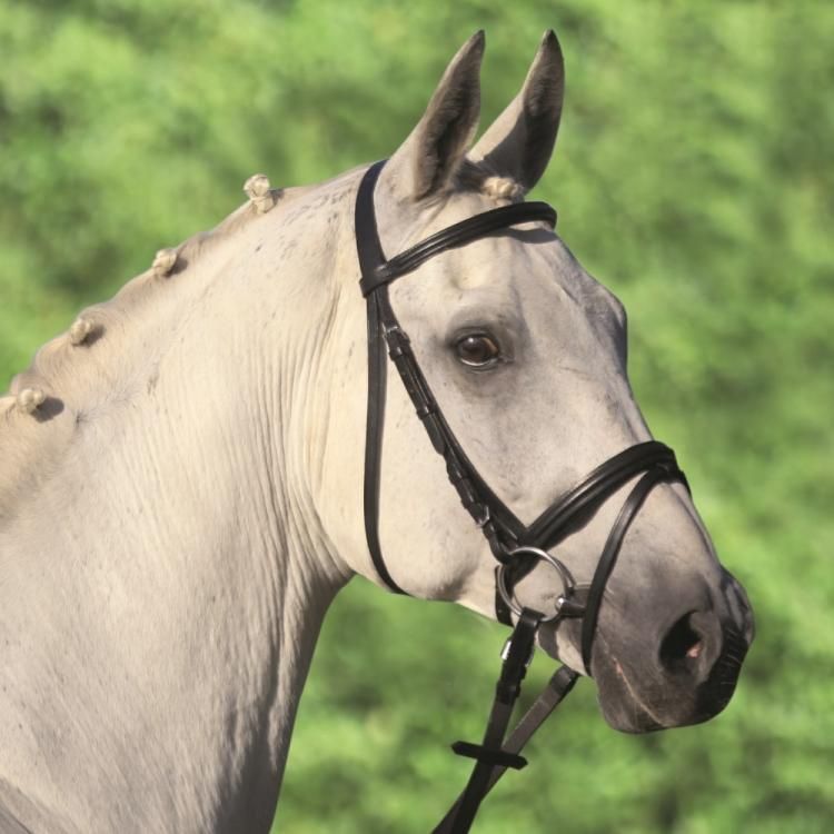 乗馬 水勒頭絡 ハミ 手綱付き-