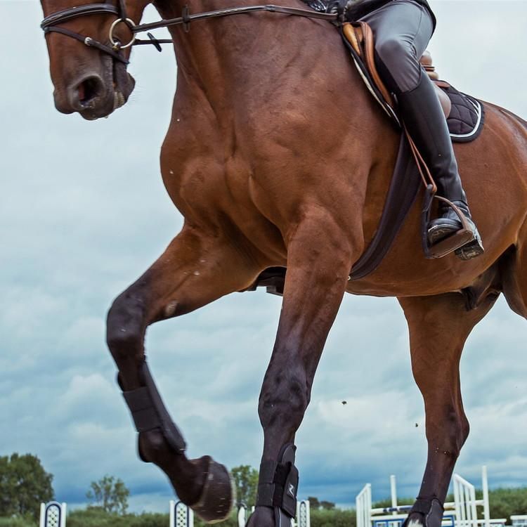 総合鞍と腹帯(鎧・フォルダー付き)☆乗馬 - その他スポーツ