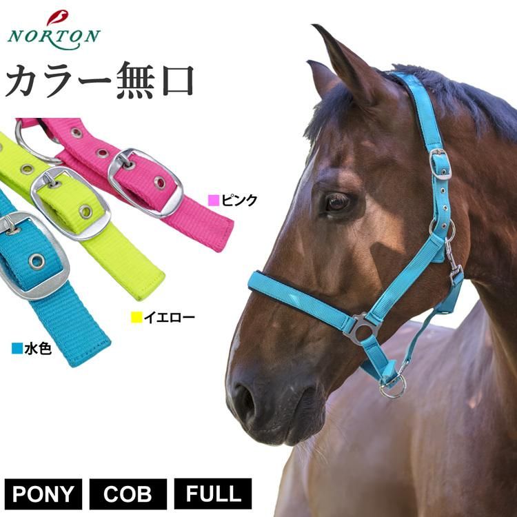 乗馬用品 ロープホルター 無口 - その他スポーツ