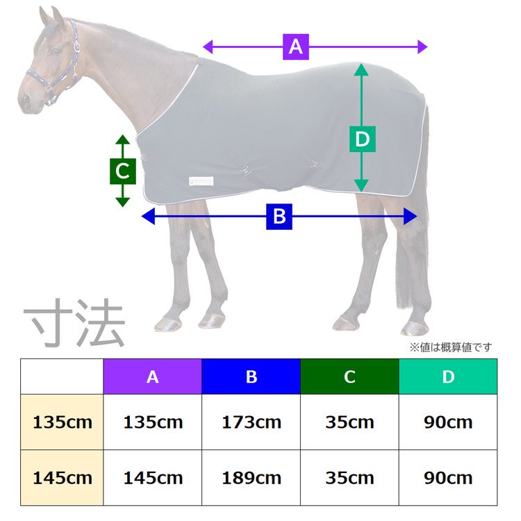 ストア 乗馬服 名称