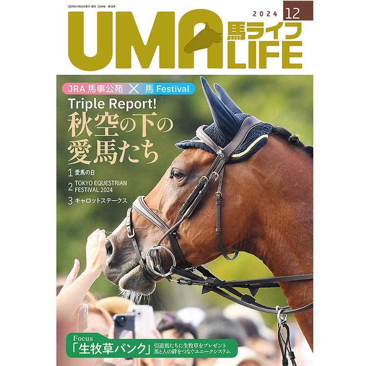 UMA LIFE ϥ饤 2024ǯ12