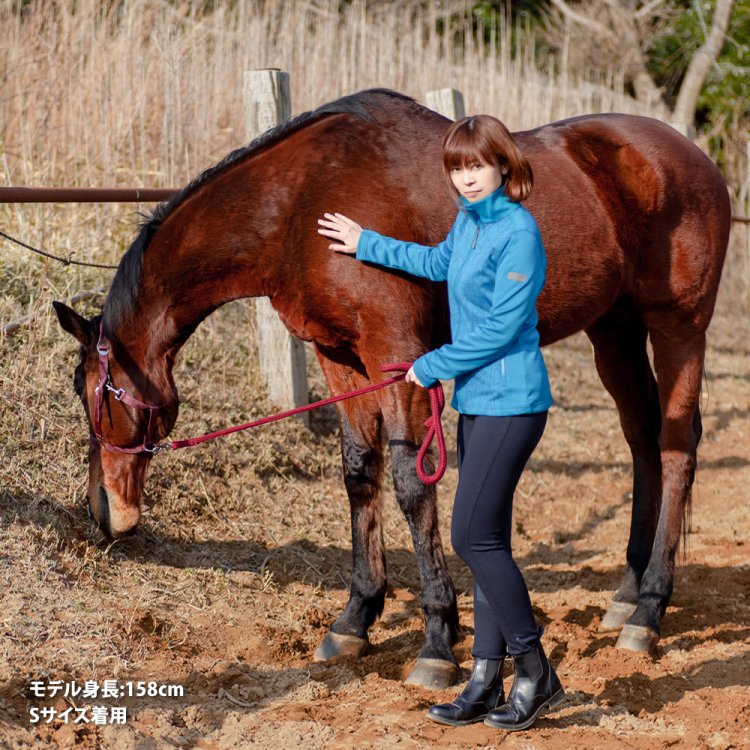 【euro-star】830/180 乗馬 size34 ブラウン パンツ