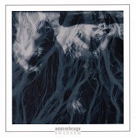 ASSEMBRAGE/SWARRRM-split 7