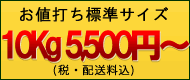10KG 5300円〜