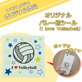 ꥸʥХ졼Υȥ󥷡롡I love volleyballס