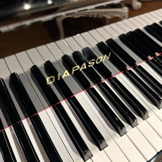 DIAPASON グランドピアノ No.183 | アップライトピアノ | 販売価格 | ムサシ楽器