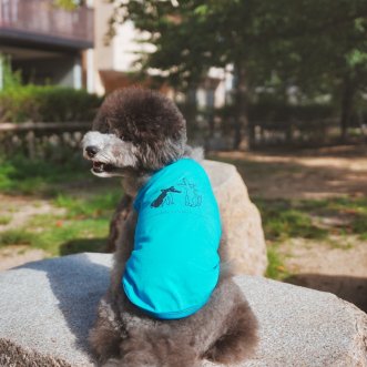 symboly dog t-shirts(受注製作)