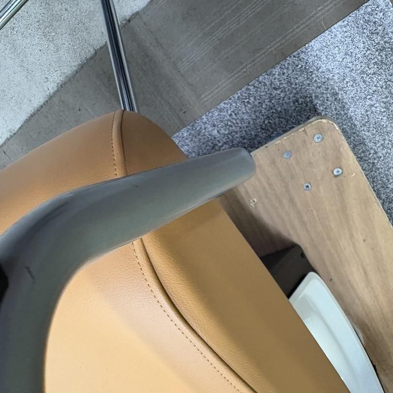 ͥ