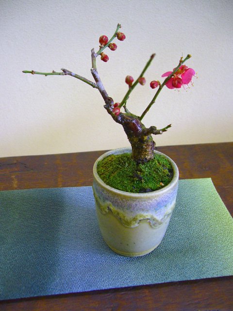 花ほうろオリジナル　京都産・リバーシブル敷物　　花器や置物などに添えてお使いいただけます