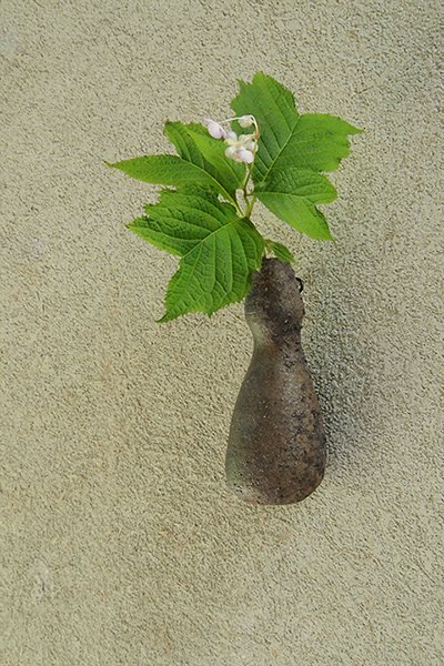 作家1点もの！ 季節のお花を備前焼で飾る ～備前・瓢掛け花入れ～