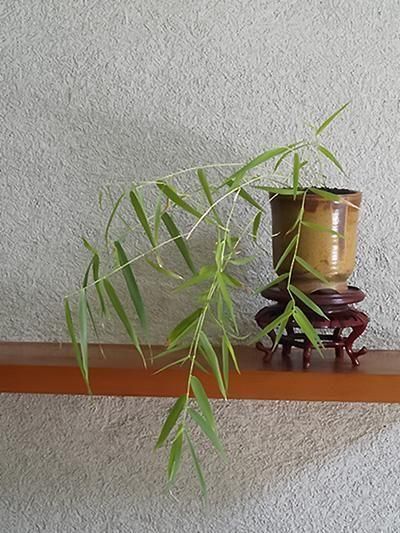 アイアン花器・備前焼のセレクトショップ 花ほうろ