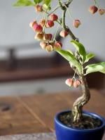 アイアン花器・備前焼のセレクトショップ 花ほうろ