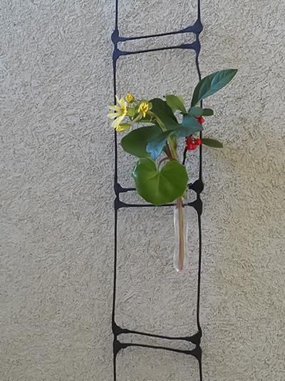 アイアン花器・備前焼のセレクトショップ 花ほうろ